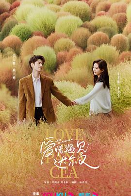 广西seo哪家服务好